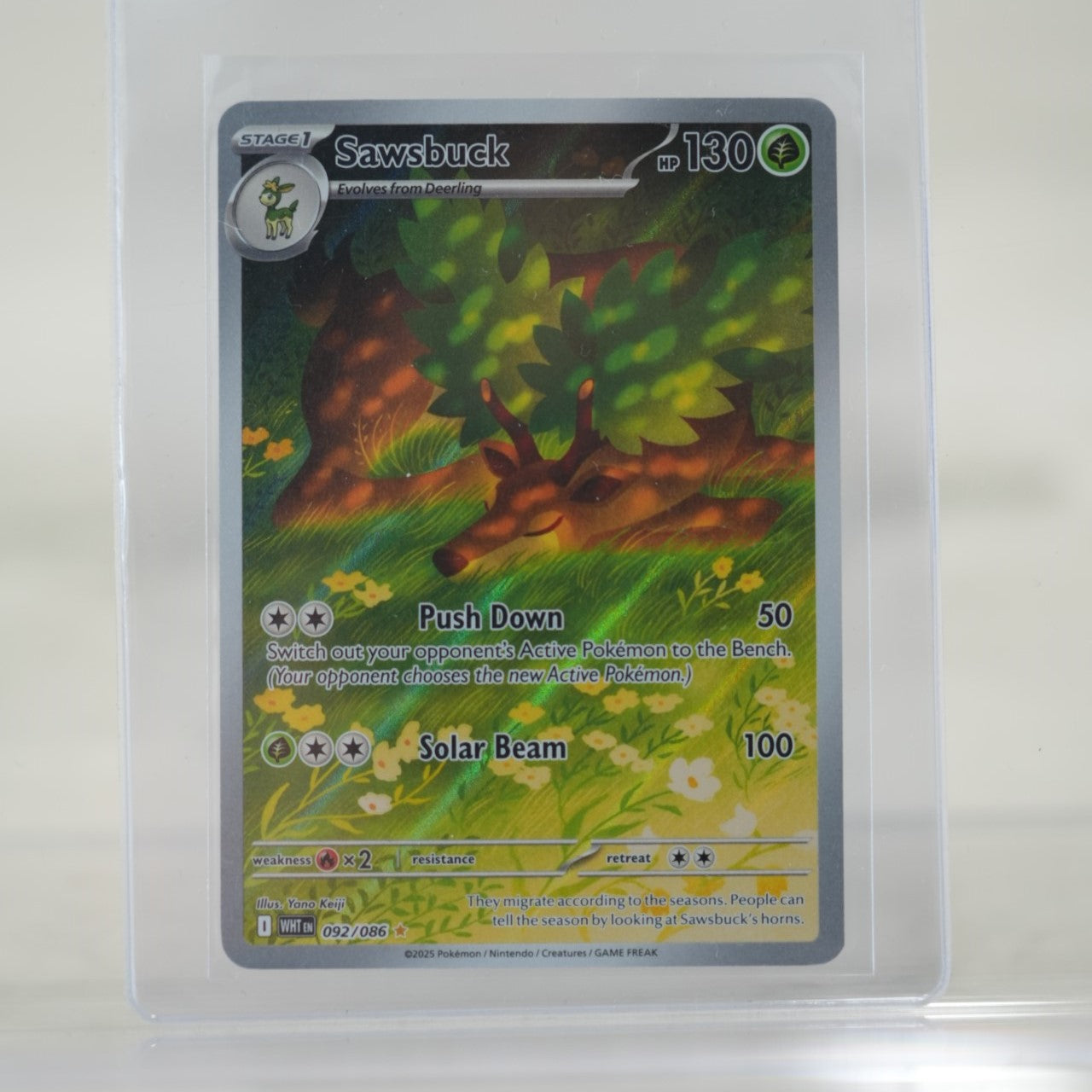 POKEMON Sawsbuck - 092/086 - SV: White Flare (WHT)