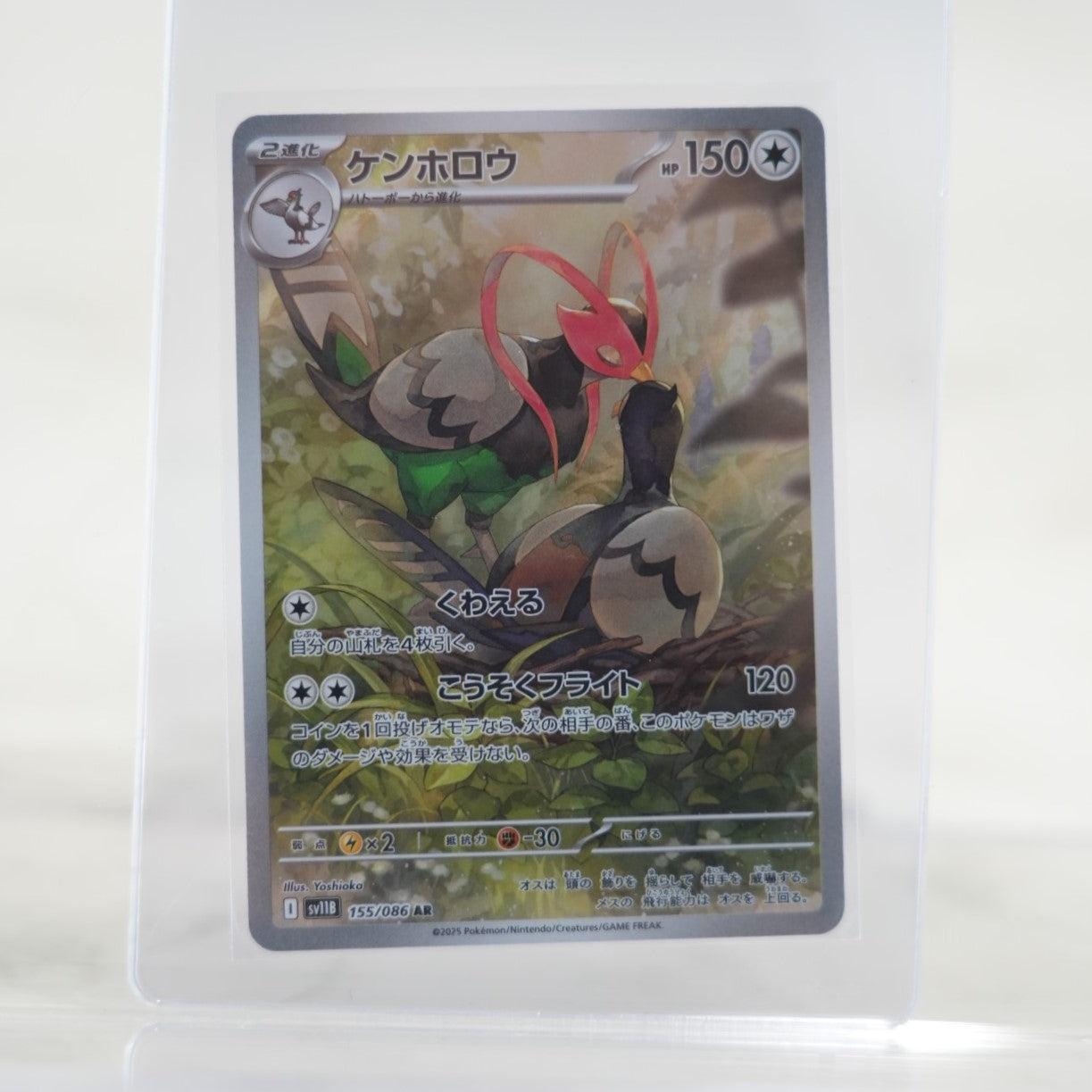 POKEMON Unfezant - 155/086 - SV11B: Black Bolt (SV11B)