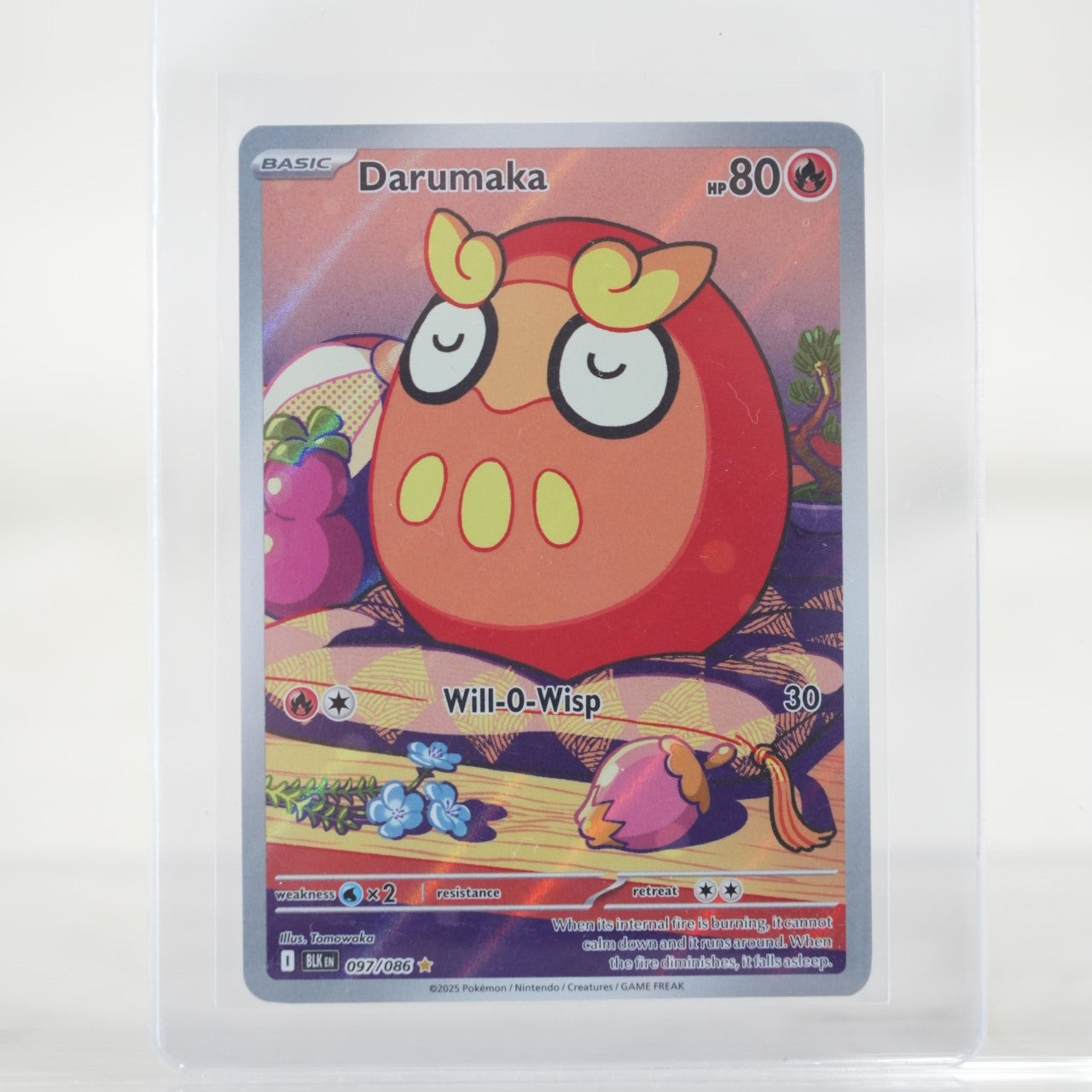 POKEMON Darumaka - 097/086