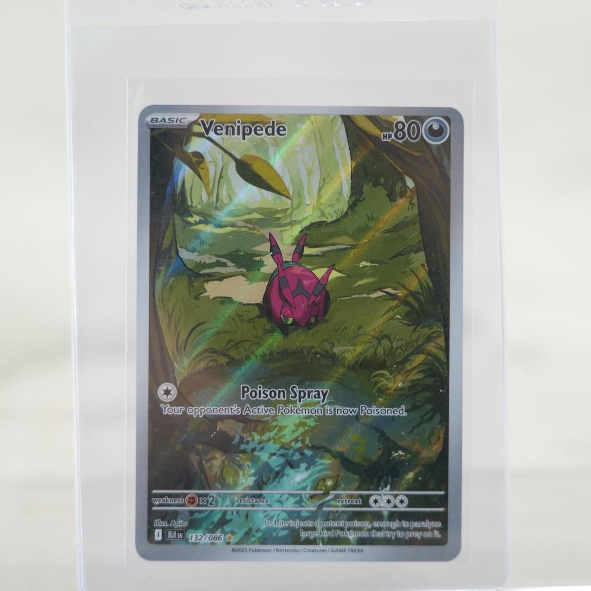 POKEMON Venipede - 132/086 - SV: Black Bolt (BLK)