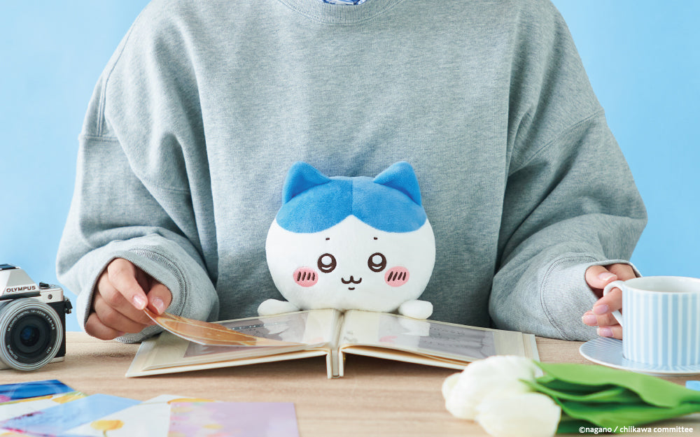 Dreams - Posture Pal Funbarus Chiikawa (Hachiware)