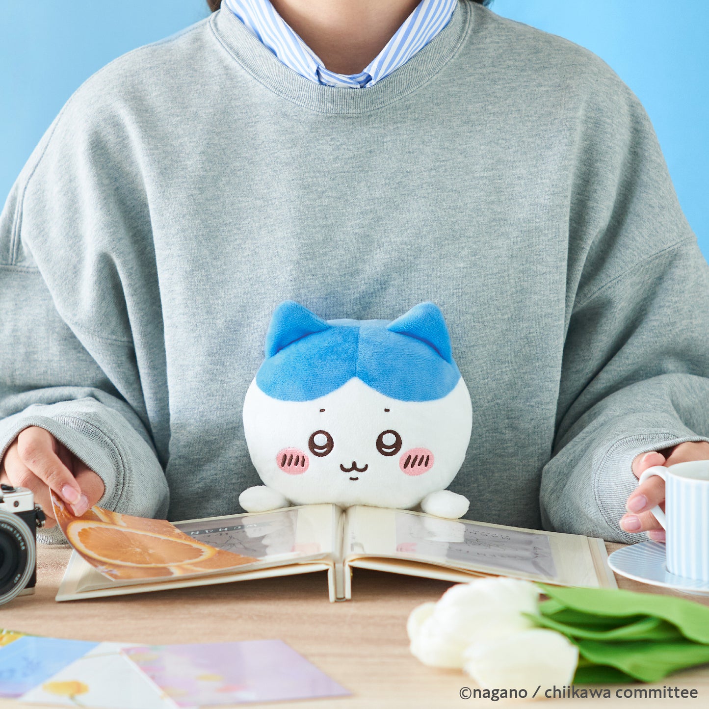 Dreams - Posture Pal Funbarus Chiikawa (Hachiware)
