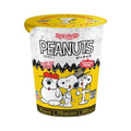 Rokimoto - PEANUTS Series 2 Vinyl Figure Blind Cup