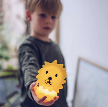 Mr Maria Lion Bundle of Light (Mini-Light)