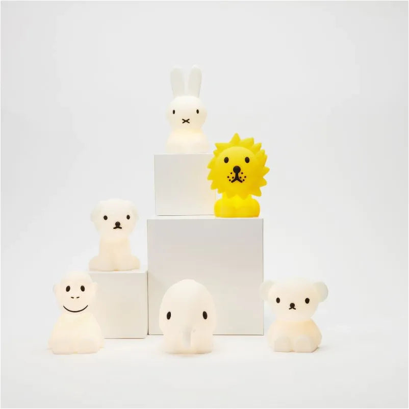 Mr Maria Boris Bundle of Light (Mini-Light)