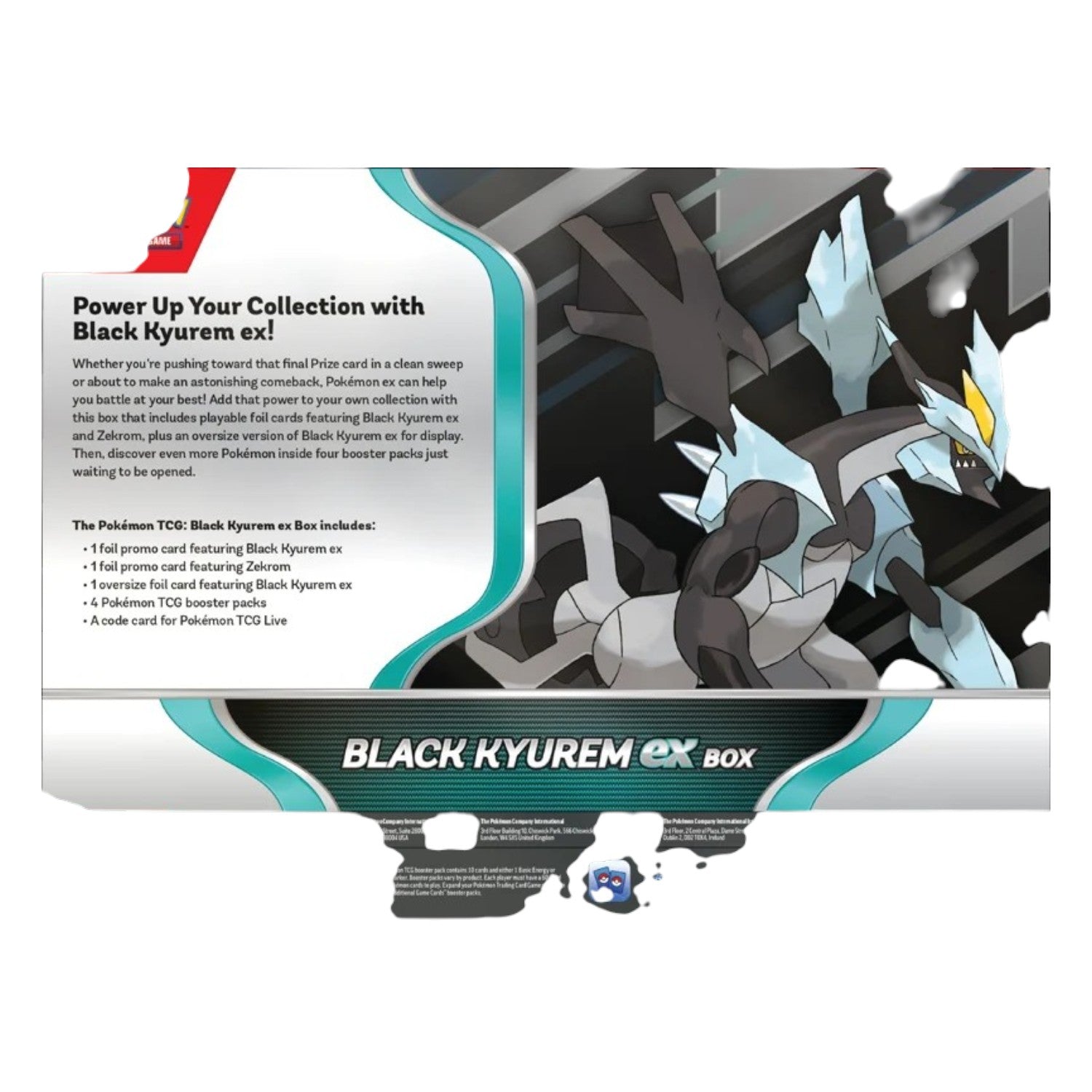 Pokémon TCG: Black Kyurem ex Box – X-Playground