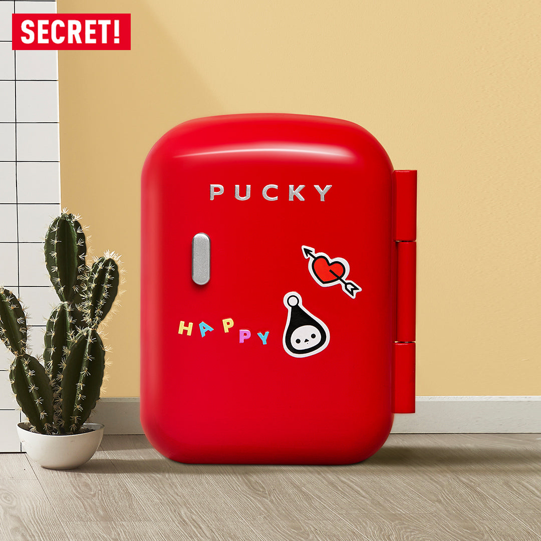 POP MART Pucky Home Time Series Blind Box